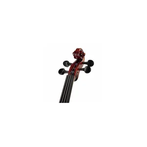 Roth & Junius Europe Antiqued Violin Set 3/4