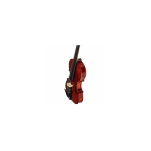 Roth & Junius Europe Antiqued Violin Set 4/4