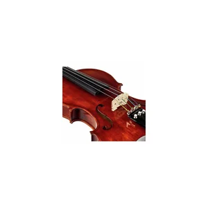 Roth & Junius Europe Antiqued Violin Set 4/4