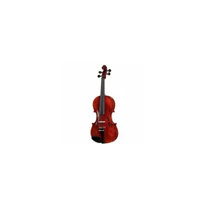 Roth & Junius Europe Antiqued Violin Set 4/4
