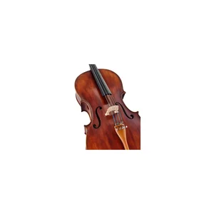Roth & Junius Europe Orchestra Cello An/Bw