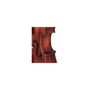 Roth & Junius Europe Orchestra Cello Set A/B