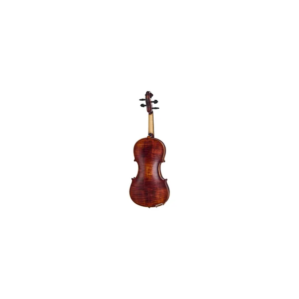 Roth & Junius Europe Orchestra Violin Gu/Eb