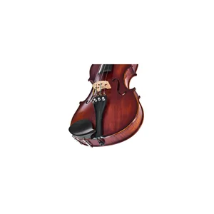 Roth & Junius Europe Orchestra Violin Gu/Eb