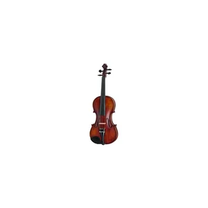 Roth & Junius Europe Orchestra Violin Gu/Eb