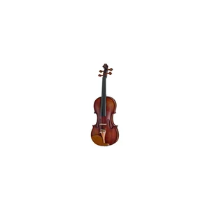 Roth & Junius Europe Orchestra Violin Set GB