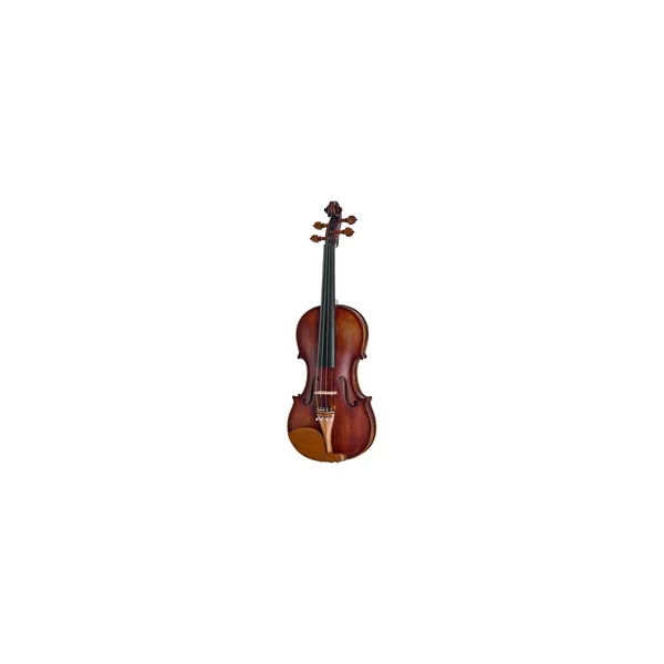 Roth & Junius Europe Orchestra Violin Set GB
