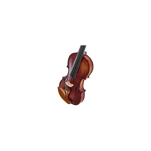 Roth & Junius Europe Orchestra Violin Set GB