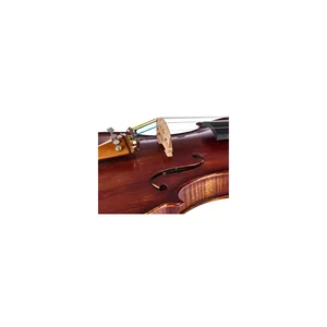 Roth & Junius Europe Orchestra Violin Set GB