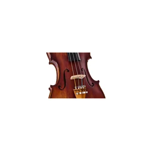 Roth & Junius Europe Orchestra Violin Set GB