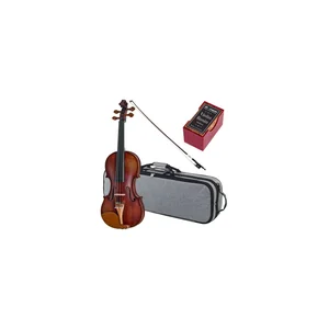 Roth & Junius Europe Orchestra Violin Set GB