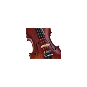 Roth & Junius Europe Orchestra Violin Set GE