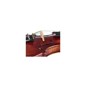 Roth & Junius Europe Orchestra Violin Set GE