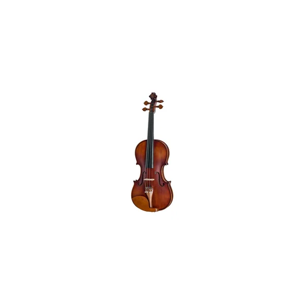 Roth & Junius Europe Orchestra Violin Set SB