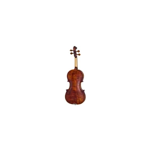 Roth & Junius Europe Orchestra Violin Set SB