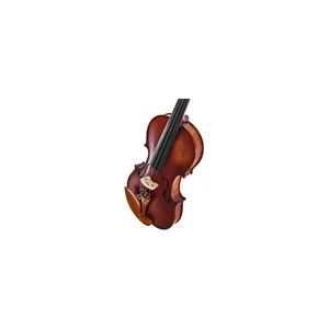 Roth & Junius Europe Orchestra Violin Set SB