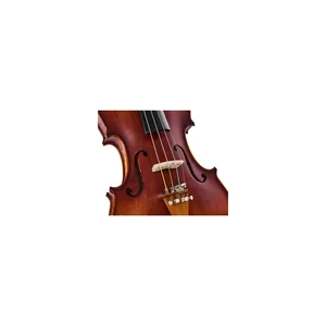 Roth & Junius Europe Orchestra Violin Set SB
