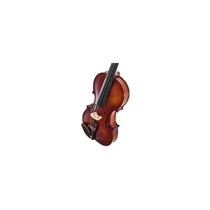 Roth & Junius Europe Orchestra Violin Set SE