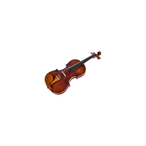 Roth & Junius Europe Orchestra Violin St/Bw