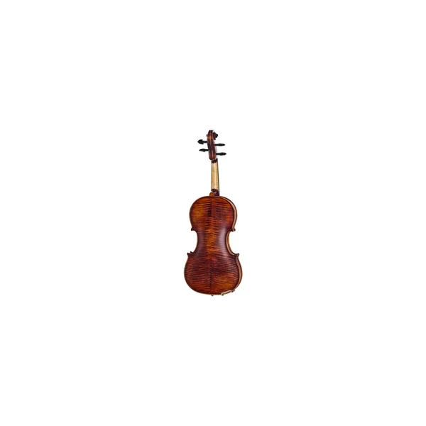 Roth & Junius Europe Orchestra Violin St/Eb