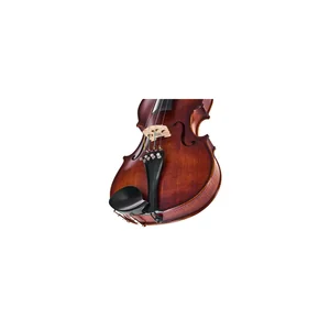 Roth & Junius Europe Orchestra Violin St/Eb