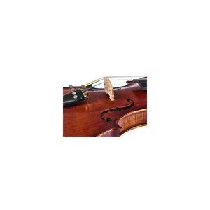 Roth & Junius Europe Orchestra Violin St/Eb