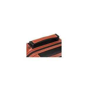 Roth & Junius Leather & Nylon Violin Case BK