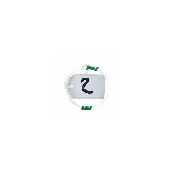 Roth & Junius Lever Harp String No. 02
