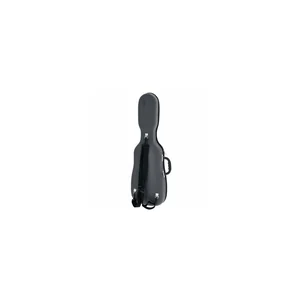 Roth & Junius New Violin Shaped Case Eva GY