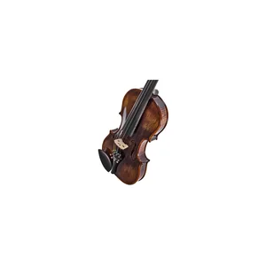 Roth & Junius Preludio 01 Violin Set 4/4 EB