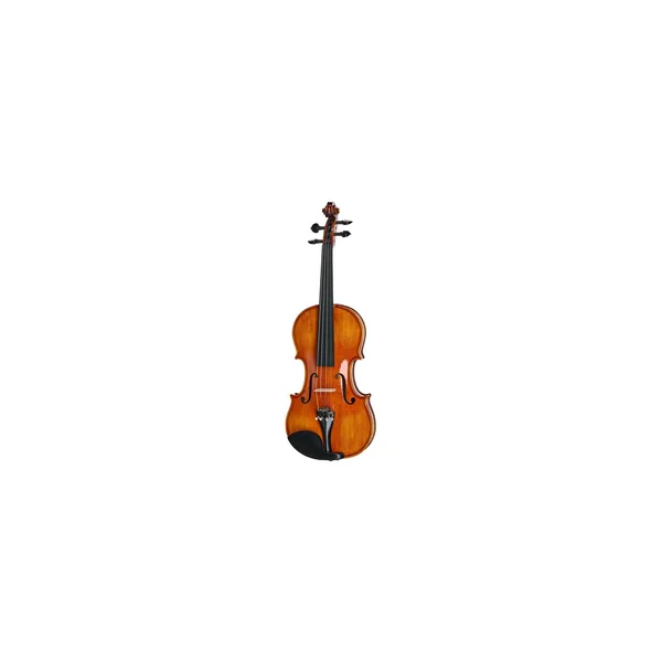Roth & Junius Preludio 02 Violin Set 4/4 EB