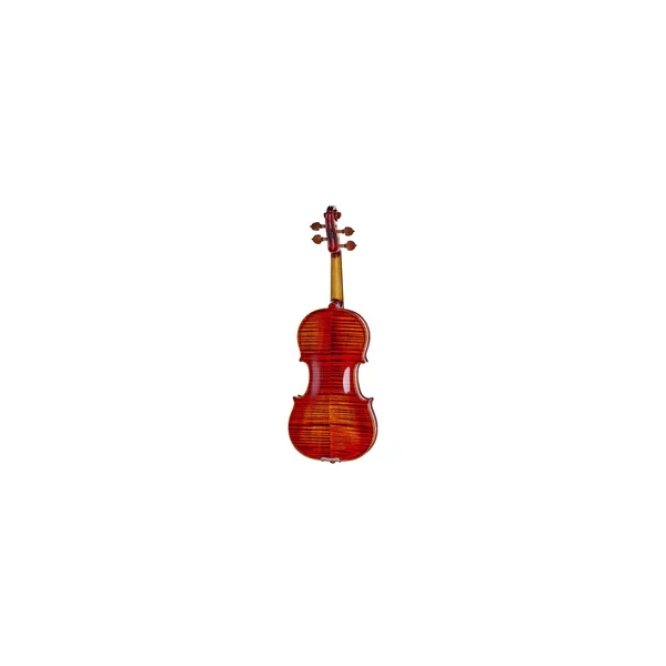 Roth & Junius Preludio 03 Violin Set 4/4 BW