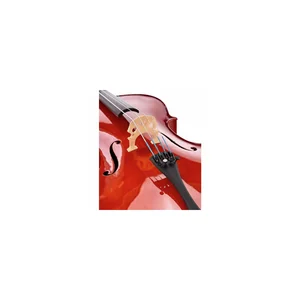 Roth & Junius RJC Cello Set 3/4