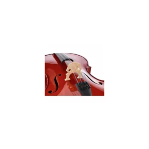 Roth & Junius RJC Cello Set 4/4