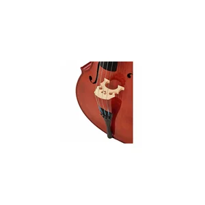 Roth & Junius RJC Cello Set 4/4