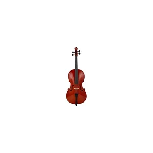 Roth & Junius RJC Cello Set 4/4
