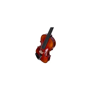 Roth & Junius RJV-A Antiqued Violin Set 4/4