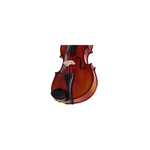 Roth & Junius RJV-A Antiqued Violin Set 4/4