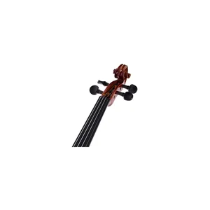 Roth & Junius RJV-A Antiqued Violin Set 4/4