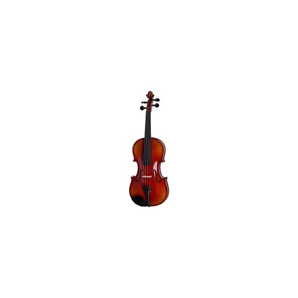 Roth & Junius RJV-A Antiqued Violin Set 4/4