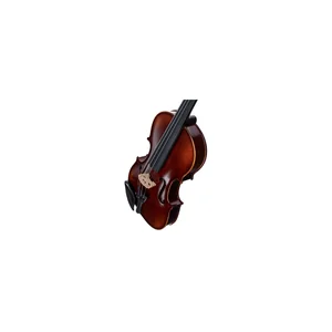 Roth & Junius RJV-S Student Violin Set 4/4
