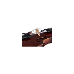 Roth & Junius RJV-S Student Violin Set 4/4