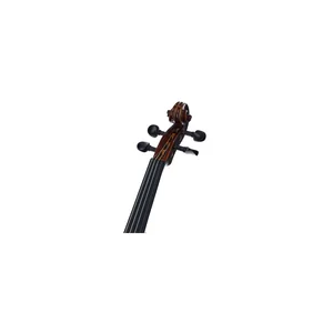 Roth & Junius RJV-S Student Violin Set 4/4