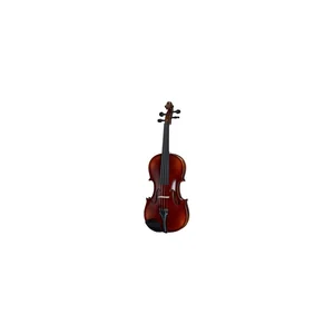 Roth & Junius RJV-S Student Violin Set 4/4