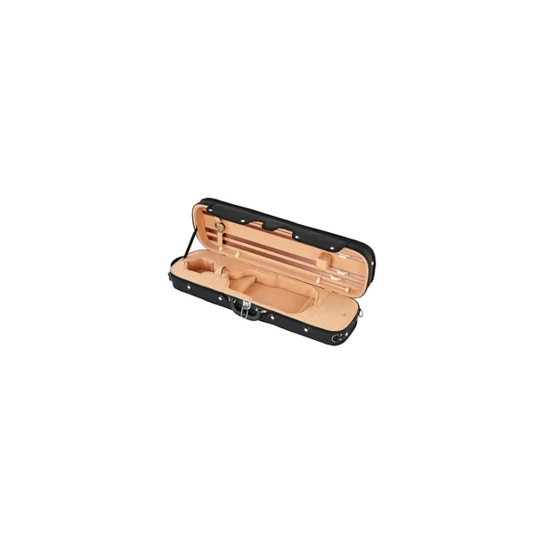 Roth & Junius RJVC Violin Case Giocoso 4/4