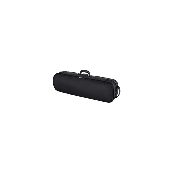 Roth & Junius RJVC Violin Case Giocoso 4/4