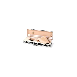 Roth & Junius RJVC Violin Flightcase-01