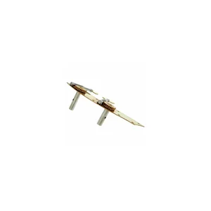 Roth & Junius Tyrolean Bass Machines 4/4G