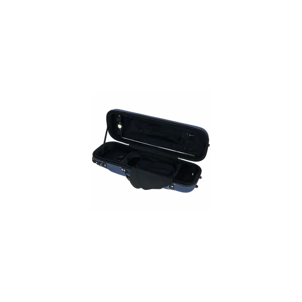 Roth & Junius Violin Oblong Case Eva BL 4/4