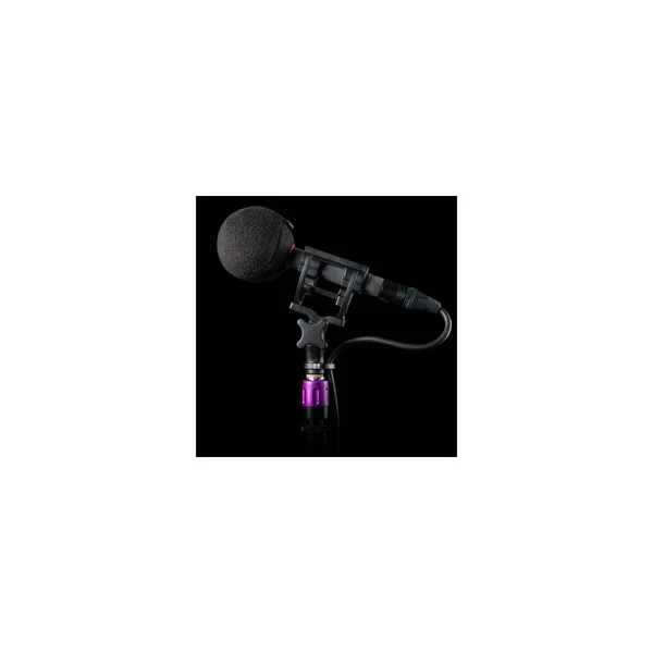 Rycote Baseball 24/25
